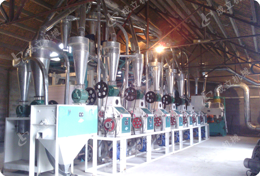 面粉加工機械容易出現哪些雜音問題？如何解決？