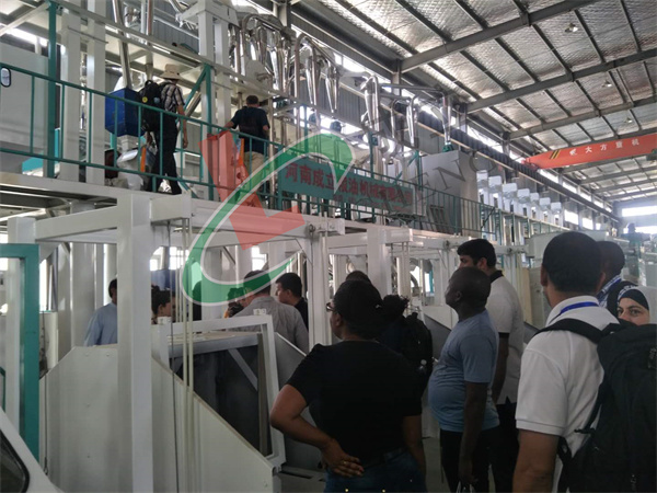 15噸級玉米加工設備